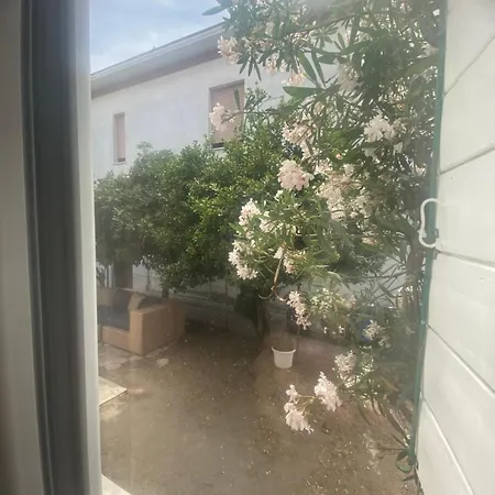 Casa Elisa Hébergement de vacances Bellaria-Igea Marina